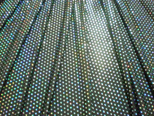 6.Black-Silver Spot Light Spandex